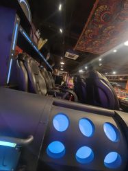 -卡通尼·Safari非洲探索乐园·生日会(金桥国际商业广场店)