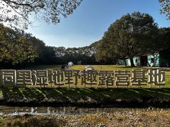 -同里国家湿地公园