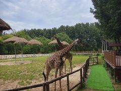 -北京野生动物园