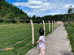 -武陵山森林公园
