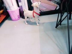 -何兮花店·气球派对鲜花店(马桥银春路万科城店)