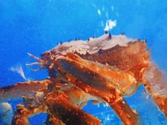 -臻悦海宴.家宴(奥体中心店)