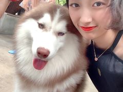 -TrueLove @ Neverland (Husky Cafe)
