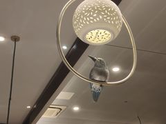 -粤玲珑广式早茶·茶餐厅