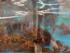 -盒马鲜生(馥邦国际店)