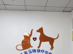 -美美宠物诊疗中心·异宠·骨科(滨江东信分院)