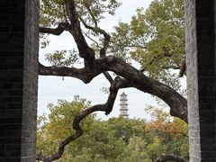 -江心屿景区