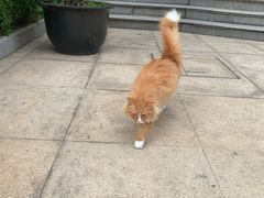 -复旦大学附属华山医院(总院)