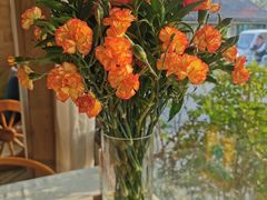 -春暖花开(西溪店)