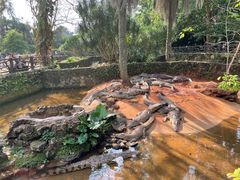 -海南热带野生动植物园