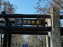 -杭州植物园