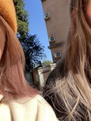 -IDOL-PLUS