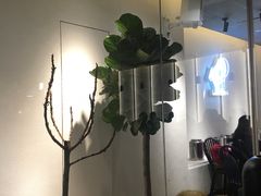 大堂-喜茶(中山利和新地店)