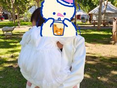 -九十九顶毡房(阜石路店)