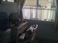 C360_2011-05-06-乐屿乐趣