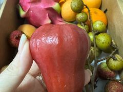 -曼格蒸汽活海鲜·榴莲自助(皇庭广场店)