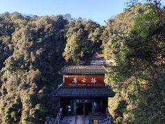 -中国大熊猫保护研究中心雅安碧峰峡基地