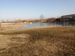 -安德鲁户外烧烤帐篷营地(马泉营店)