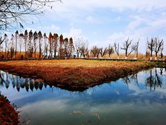 -捞渔河湿地公园
