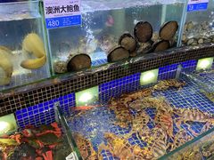 水产区-欢乐海岸美食联盟