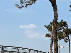 -仙岳公园