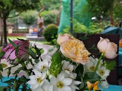-洪湖家庭农场·团建·露营·会议