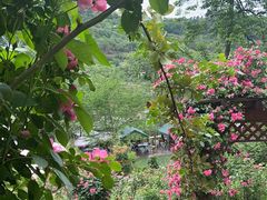 -玫瑰庄园·自助烧烤·烤全羊·团建拓展(龙泉山店)