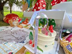 -长白岛森林公园