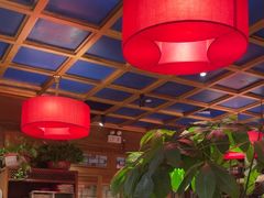 -小吊梨汤·北京菜·烤鸭(清河万象汇店)