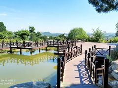 -北京西山国家森林公园