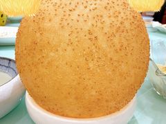 金甲大麻球-海景壹号大酒店(滨湖店)