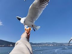 -海埂大坝