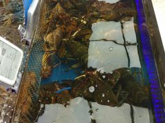 -盒马鲜生(大成店)