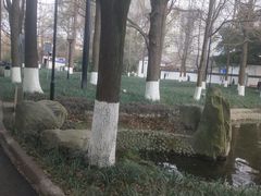 -温江公园