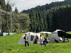 -武陵山森林公园