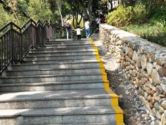 -仙岳公园