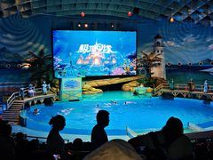 -海合安武汉极地海洋公园