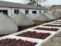 -苏州市吴中区光福窑上花果蜜饯厂