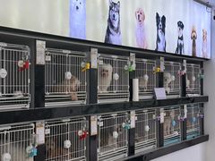 -翊宠yipet猫狗购宠庄园犬舍•猫舍