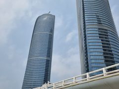 -演武大桥观景平台