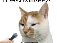 -谜盒子奇幻密室(南屏店)