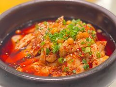 -新蜀会四川豆花(五羊店)