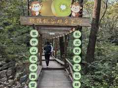 -大岭沟猕猴桃谷风景区