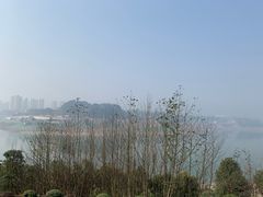 -金海湾滨江公园