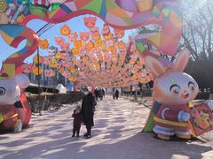 -沈阳奥体冰雪嘉年华