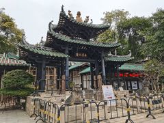 -越秀西湖花市(广州城市广场花卉店)