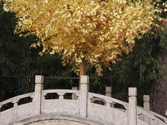 -红螺寺