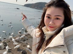-烟墩角天鹅湖