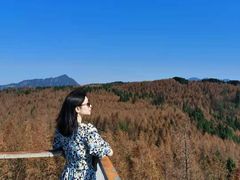 -山王坪喀斯特国家生态公园