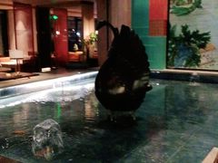 -赵城水汇·微度假生活馆